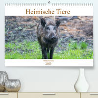 Heimische Tiere - Wildschweine (Premium, hochwertiger DIN A2 Wandkalender 2023, Kunstdruck in Hochglanz)
