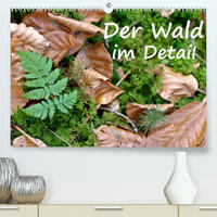 Der Wald im Detail (Premium, hochwertiger DIN A2 Wandkalender 2023, Kunstdruck in Hochglanz)