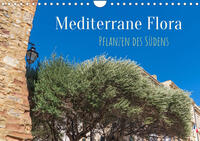 Mediterrane Flora - Pflanzen des Südens (Wandkalender 2023 DIN A4 quer)