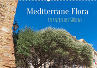 Mediterrane Flora - Pflanzen des Südens (Wandkalender 2023 DIN A2 quer)