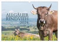 Allgäuer Rindvieh 2024 (Wandkalender 2024 DIN A3 quer), CALVENDO Monatskalender