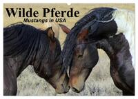 Wilde Pferde • Mustangs in USA (Wandkalender 2024 DIN A2 quer), CALVENDO Monatskalender