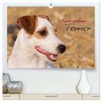 Faszination Terrier (hochwertiger Premium Wandkalender 2024 DIN A2 quer), Kunstdruck in Hochglanz