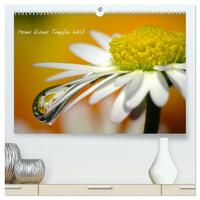 Kalender (hochwertiger Premium Wandkalender 2024 DIN A2 quer), Kunstdruck in Hochglanz