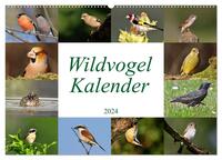 Wildvogelkalender (Wandkalender 2024 DIN A2 quer), CALVENDO Monatskalender