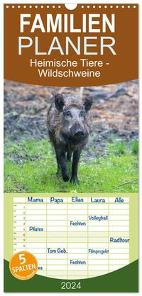 Familienplaner 2024 - Heimische Tiere - Wildschweine mit 5 Spalten (Wandkalender, 21 x 45 cm) CALVENDO