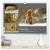 Chesley Kleiner Hund Grosses Abenteuer (hochwertiger Premium Wandkalender 2024 DIN A2 quer), Kunstdruck in Hochglanz
