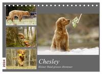 Chesley Kleiner Hund Grosses Abenteuer (Tischkalender 2024 DIN A5 quer), CALVENDO Monatskalender