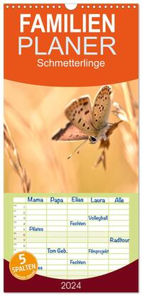 Familienplaner 2024 - Schmetterlinge. Schimmernde Zauberwesen mit 5 Spalten (Wandkalender, 21 x 45 cm) CALVENDO