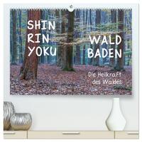Shinrin yoku - Waldbaden 2024 (hochwertiger Premium Wandkalender 2024 DIN A2 quer), Kunstdruck in Hochglanz