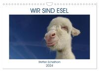 WIR SIND ESEL (Wandkalender 2024 DIN A4 quer), CALVENDO Monatskalender