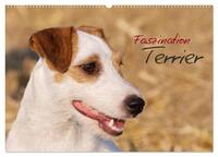 Faszination Terrier (Wandkalender 2024 DIN A2 quer), CALVENDO Monatskalender