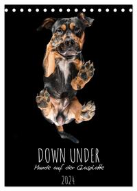 Down Under - Hunde auf der Glasplatte (Tischkalender 2024 DIN A5 hoch), CALVENDO Monatskalender