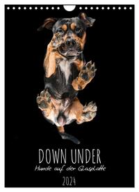 Down Under - Hunde auf der Glasplatte (Wandkalender 2024 DIN A4 hoch), CALVENDO Monatskalender