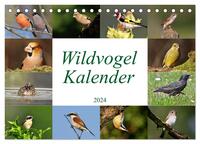 Wildvogelkalender (Tischkalender 2024 DIN A5 quer), CALVENDO Monatskalender