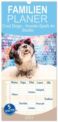 Familienplaner 2024 - Cool Dogs - Hunde-Spaß im Studio mit 5 Spalten (Wandkalender, 21 x 45 cm) CALVENDO