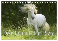 Dein Freund, dein Pferd (Wandkalender 2024 DIN A4 quer), CALVENDO Monatskalender