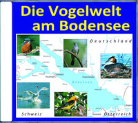 Die Vogelwelt am Bodensee