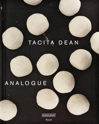 Tacita Dean. Analogue