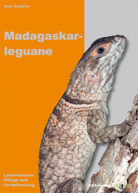 Madagaskarleguane