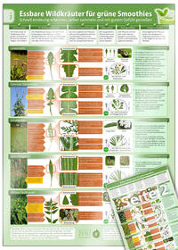 Essbare Wildkräuter für Grüne Smoothies - Erkennungskarte Teil 1 - Natürliche Frische erleben (2024)