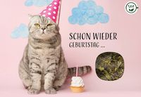 Schon wieder Geburtstag ...