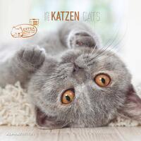 Katzen 2025 - Broschürenkalender 30x30 cm (30x60 geöffnet) - Kalender mit Platz für Notizen - Cats - Bildkalender - Wandplaner - Katzenkalender