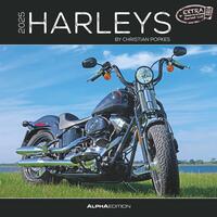 Harleys 2025 - Broschürenkalender 30x30 cm (30x60 geöffnet) - Kalender mit Platz für Notizen - Motorräder - Bildkalender - Wandplaner - Harley-Davidson