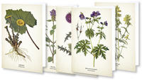 Kunstklappkarten 'Flora'