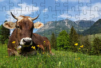 Puzzle-Postkarte Allgäu