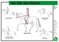 Der Sitz des Reiters