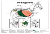 Die Eingeweide