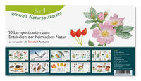 Wawra's Naturpostkarten, Set 4