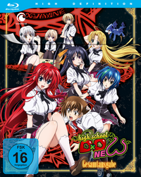 Highschool DxD New - Staffel 2 - Gesamtausgabe - Blu-ray Box (2 Blu-rays)