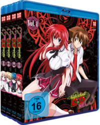 Highschool DxD New - Staffel 2 - Gesamtausgabe - Bundle Vol.1-4 (4 Blu-rays)