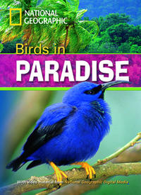Birds in Paradise