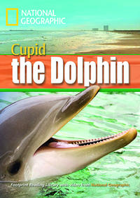 Cupid the Dolphin