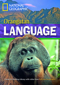 Orangutan Language