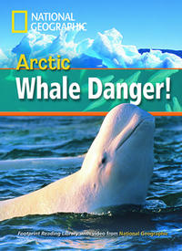 Arctic Whale Danger