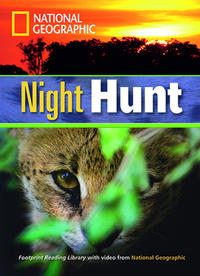 Night Hunt