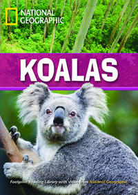 Koalas