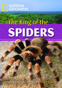 The King of the Spiders