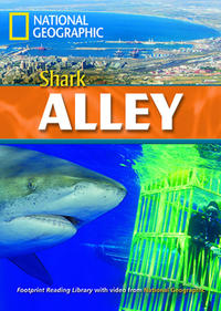 Shark Alley