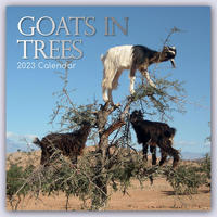 Goats in Trees - Ziegen auf Bäumen 2023 - 16-Monatskalender