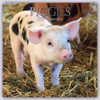 Piggies - Ferkel Schweine 2023