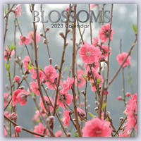 Blossoms - Blüten 2023 - 16-Monatskalender