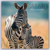 Safari 2023 - 16-Monatskalender