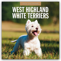 Cover-Abbildung für West Highland White Terriers – West Highland White Terrier – Westie 2026 – 16-Monatskalender (99999---978-1-80442-866-5)