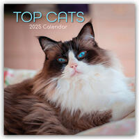 Top Cats – Top-Katzen 2025 – 16-Monatskalender