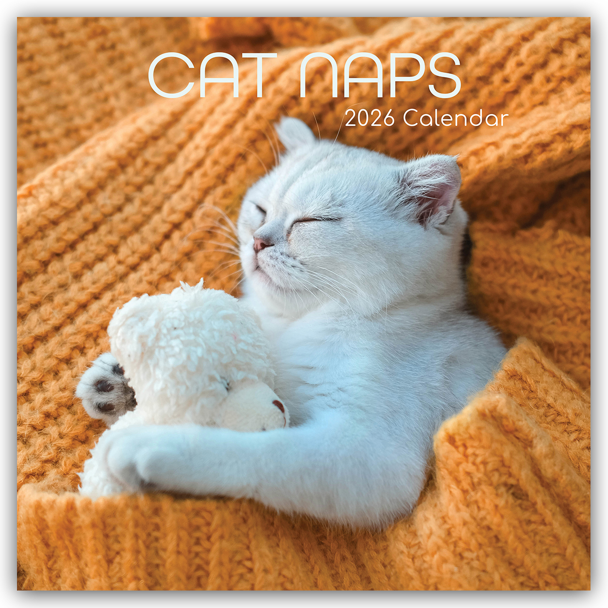 Cover-Abbildung für Cat Naps – Träumende Katzen 2026 – 16-Monatskalender (99999---978-1-83622-297-2)